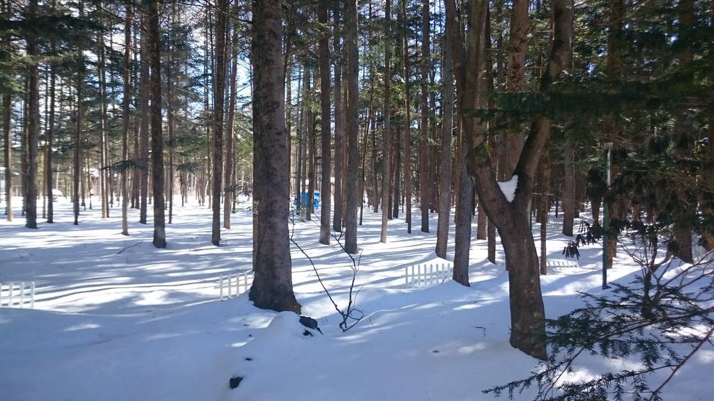 Pension Candytuft Karuizawa Luaran gambar