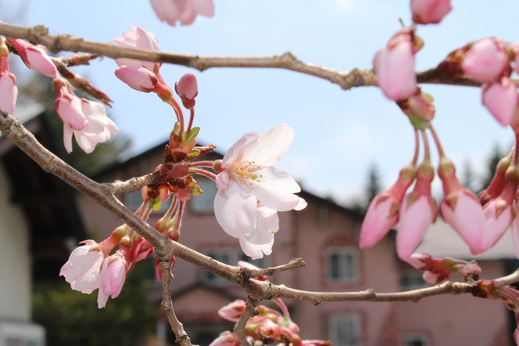 Pension Candytuft Karuizawa Luaran gambar