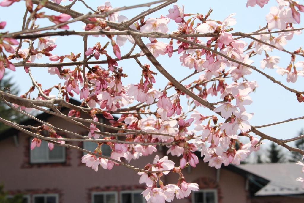 Pension Candytuft Karuizawa Luaran gambar