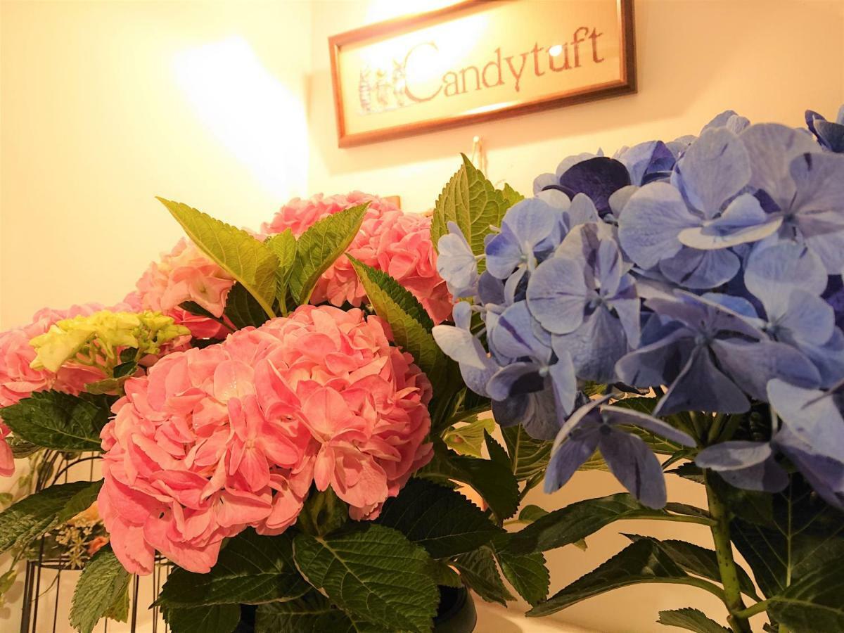 Pension Candytuft Karuizawa Luaran gambar