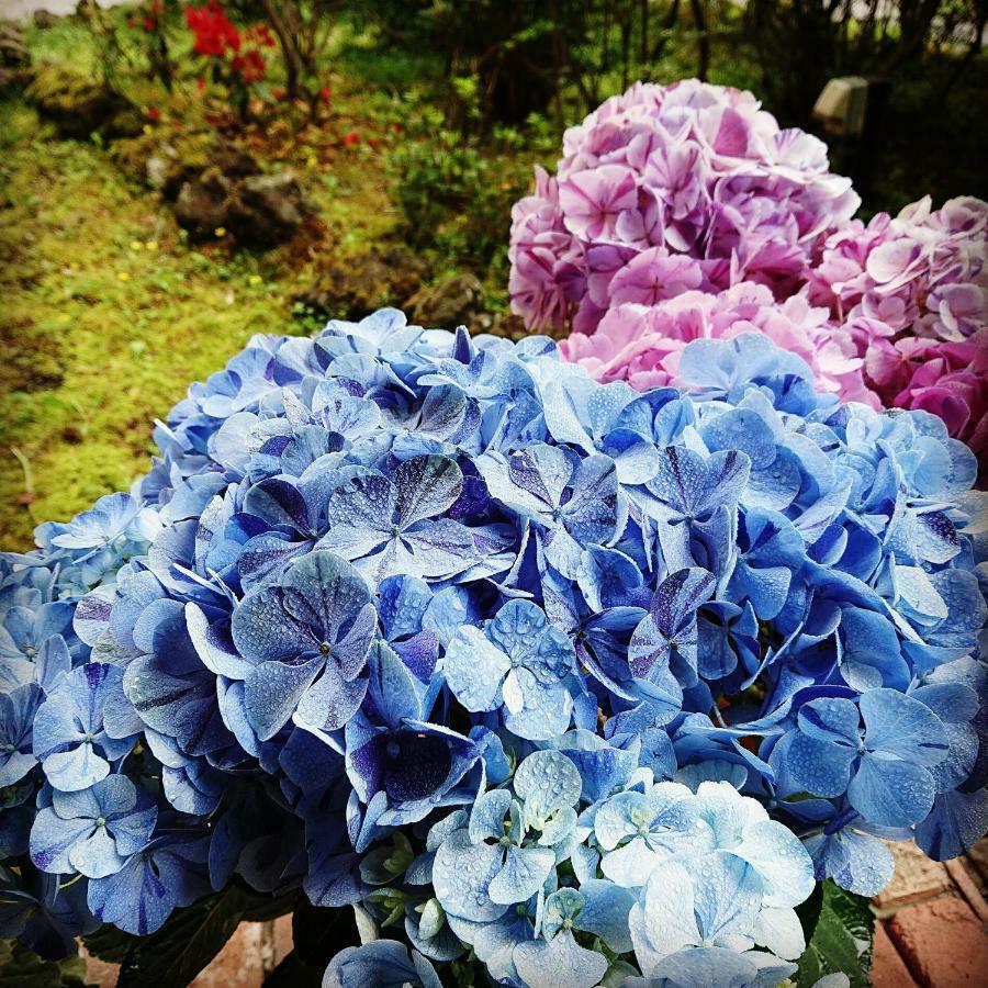 Pension Candytuft Karuizawa Luaran gambar